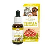 Formación y educación 30 ml - Australian Bush Flower Essences
