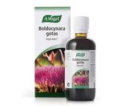 Boldocynara 100 ml - A.Vogel
