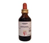 Frambuesa 100 ml - Centofiori