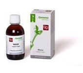 Nogal Gemmoderivado 100 ml - Fitomedical