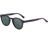 Gafas De Sol Beo 210 C2 Havana
