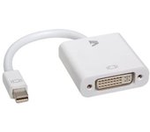 V7 Adattatore video bianco da Mini DisplayPort maschio a DVI-D maschio