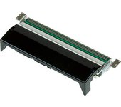 Zebra P1058930-009 cabeza de impresora Transferencia térmica