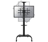 Newstar Soporte de suelo móvil para TV - Soporte de pie para pantalla plana (50 kg, 94 cm (37"), 177,8 cm (70"), 200 x 200 mm, 600 x 400 mm)
