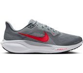 Zapatillas de running Nike Pegasus 41