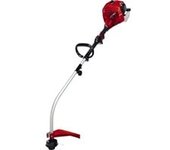 GC-PT 2538/1 I AS 600 W Gasolina Negro, Gris, Rojo, Cortabordes