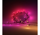 Philips Hue White & Color Ambiance Guirnalda de luces Festavia
