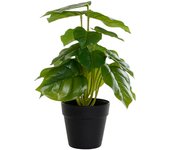 DKD Home Decor Planta Decorativa PVC Polipropileno 20 x 20 x 30 cm - Marca EAN: 8424001938667