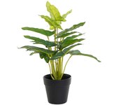 DKD Home Decor Planta Decorativa PVC Polipropileno 25 x 25 x 30 cm - Marca EAN: 8424001938636