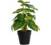 DKD Home Decor Planta Decorativa PVC Polipropileno 20 x 20 x 30 cm - Marca EAN: 8424001938674
