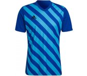 Adidas - Camiseta Entrada 22 GFX m/c, Unisex, Royal Blue-Sky Rush, S