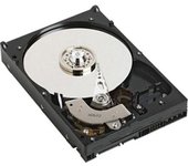 DELL 1TB SATA Unidad de disco duro 1000GB Serial A