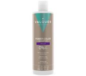 Valquer Laboratorios Champú Potenciador del Color Violeta 400 Ml