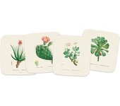 Set 4 Posavasos Botanical Cacti kokonote
