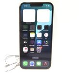 APPLE IPHONE 13 PRO 256GB