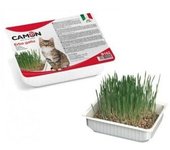 Camon Hierba para Gato 5 x 700 gr