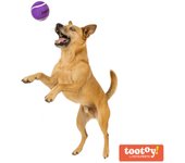 Tootoy! Chase Squeaker Ball Morada pelota de tenis para perros