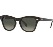Rayban Gafas De Sol Ray-Ban Rb 0707s 664271 Negro