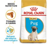 1,5 Kg. Royal Canin Pienso Para Cachorros De Raza Pug