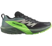 Zapatillas de trail salomon sense ride 5 black /laurel wreath/gre