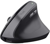Trust TM-270 ratón mano derecha RF inalámbrico Óptico 2400 DPI