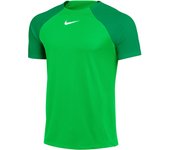 Camiseta Nike Dri-FIT Academy pro