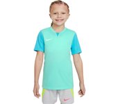 Camiseta para niños Nike Dri-Fit Trophy V