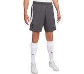 Pantalón corto de entrenamiento Tottenham 2022/23
