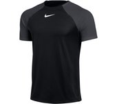 Camiseta Nike Dri-FIT Academy pro