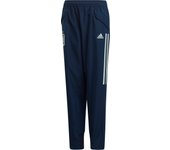 Pantalones de entrenamiento para niños Espagne 2020