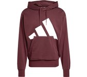 Sudadera con capucha adidas Essentials Big Logo