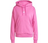 Sudadera con capucha adidas Essentials Small Logo French Terry