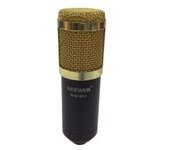 MICROFONO NEEWER NW-800