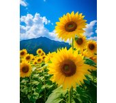 MomoArt Diamond Embroidery Sunflower Painting Mountain Picture Rhinestones Landscape Mosaic Flower New Arrival Decor for home