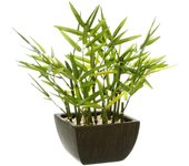Atmosphera Bambú Artificial en Maceta Decorativo de Alta Calidad para Interior y Exterior