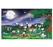 Puzzle rompecabezas Charlie Brown y Snoopy con sus amigos TGB01