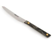 Arcos Serie Flysch | Cuchillo de Mesa | Hoja Serrada de Acero Inoxidable NITRUM de 110 mm | Apto para el lavavajillas | Mango Polimetil Metacrilato Color Azul
