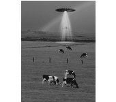Flying Saucer (UFO) Above A Forest Poster Vintage Black White Photography Canvas Painting Wall Art Picture for Room Home Decor