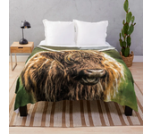 Fleece Throw Blanket Yak Highland Cow Home Decor,Cattle Portrait Art Super Soft Warm Plush Bed TV Blankets for Couch/Sofa/Travel