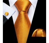 Barry.Wang Gold Beige Yellow Brown Tulip Silk Men Tie Handkerchief Cufflink Set Jacquard Necktie for Male Wedding Business Party