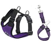 Dog Car Harness Seatbelt Set, Dog Vest Harness Adjustable with Breathable Mesh & Vehicle Safety Seat Belt Tether with Elastic