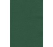 Tarjeta regalo Saul Sadoch ECOcolor H 0,70 Mt L 25 Mt Verde