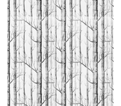 Papel Pintado Floral Bosque blanco