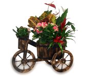 BICICLETA DE MADERA