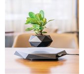 Levitating Air Bonsai Pot Rotation Flower Pot Planters Magnetic Suspension Floating Pot Potted Plant Home Without Plants