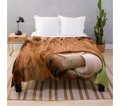Fleece Throw Blanket Yak Highland Cow Home Decor,Cattle Portrait Art Super Soft Warm Plush Bed TV Blankets for Couch/Sofa/Travel