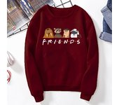 Lylla & Rocket Teefs Floor Sweatshirt GoTG3 Rocket Lylla Hoodie Galaxy Guardians 3 Inspired Rocket Raccoon Friends Sweatshirts