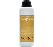 FINCA CASAREJO Suplemento Alimenticio Gallinas y Otras Aves de Corral - Solupuesta 250 Ml - Mejora la Calidad de los Huevos