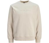 JCORECHARGE MOLD PRINT SWEAT CREW NECK Moonbeam