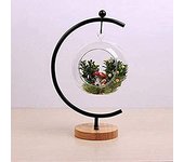 Soporte de exhibición de adorno grande, soporte de adorno, soporte de gancho de hierro para colgar globo de cristal, planta de aire, terrario, bola de bruja, adorno de Navidad y decoración de boda en el hogar (negro, tamaño grande)